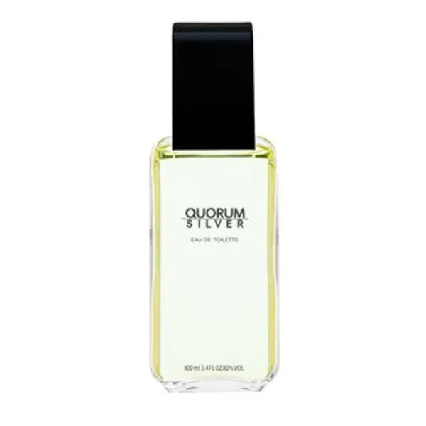 Antonio Puig Antonio Puig Quorum Silver toaletna voda za muškarce 100 ml