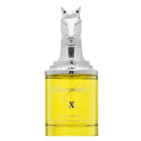 Armaf Armaf Bucephalus No. X parfémovaná voda za muškarce 100 ml