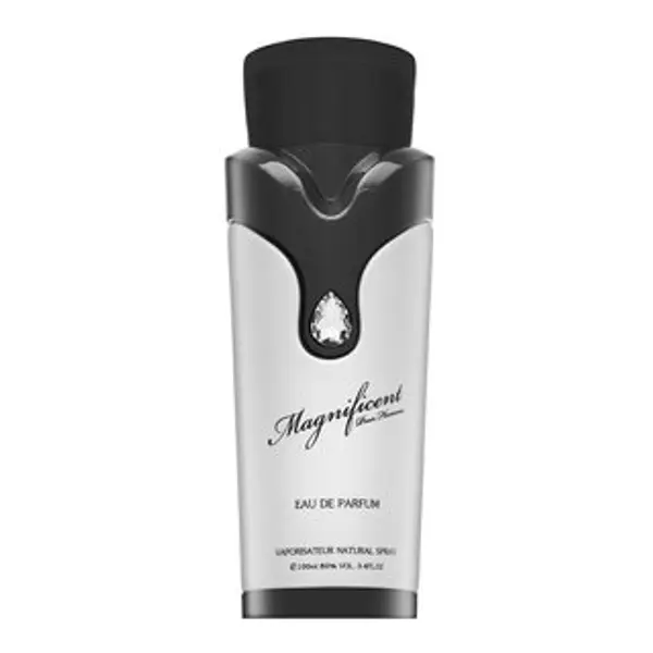 Armaf Armaf Magnificent Pour Homme parfémovaná voda za muškarce 100 ml