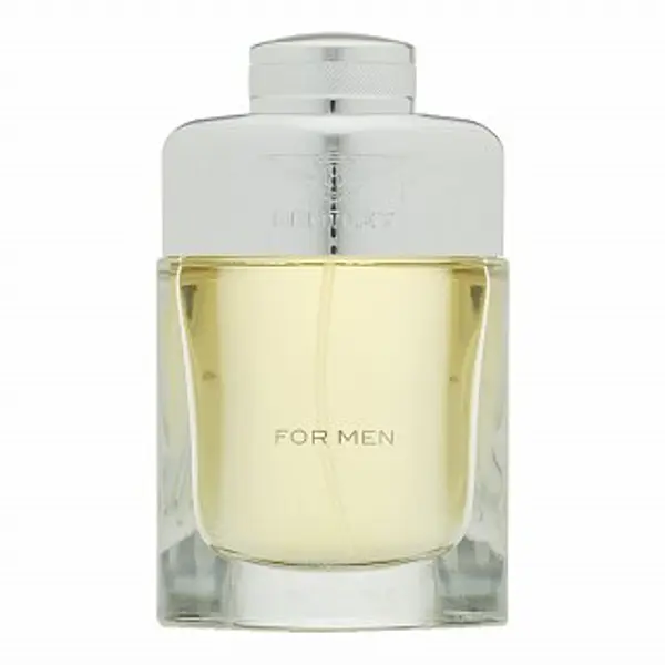 Bentley Bentley for Men toaletna voda za muškarce 100 ml
