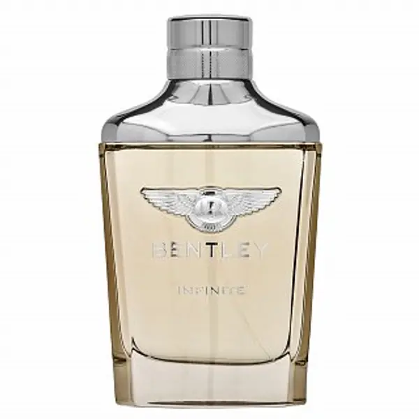 Bentley Bentley Infinite toaletna voda za muškarce 100 ml