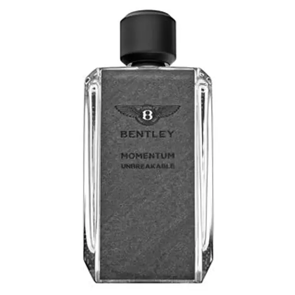 Bentley Bentley Momentum Unbreakable parfemska voda za muškarce 100 ml