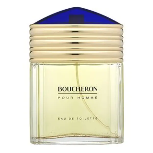 Boucheron Boucheron Pour Homme toaletna voda za muškarce 100 ml