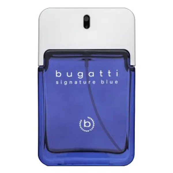 Bugatti Bugatti Signature Blue toaletna voda za muškarce 100 ml
