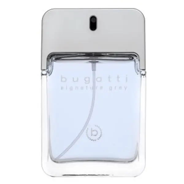 Bugatti Bugatti Signature Grey toaletna voda za muškarce 100 ml