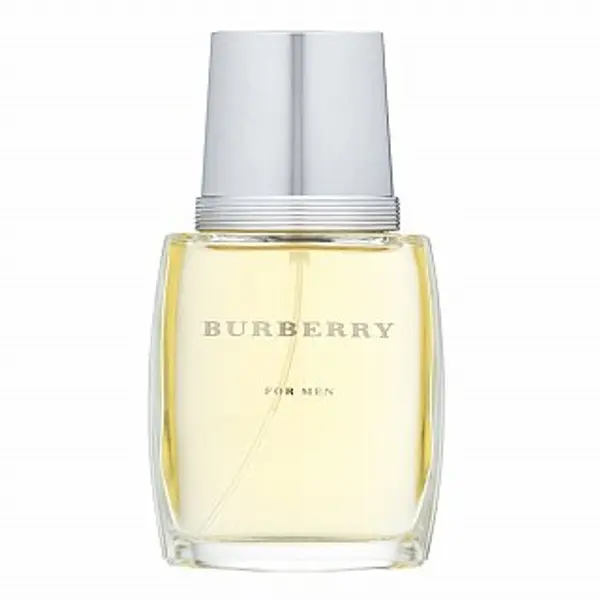 Burberry Burberry For Men toaletna voda za muškarce 50 ml