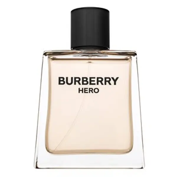 Burberry Burberry Hero toaletna voda za muškarce 100 ml