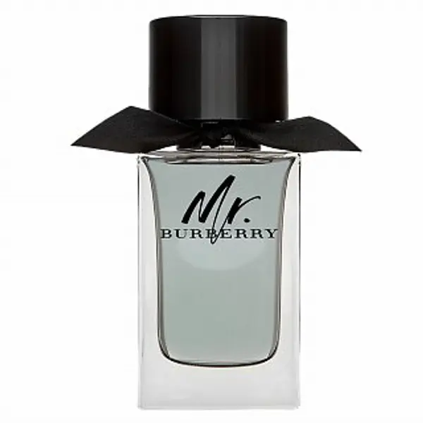 Burberry Burberry Mr. Burberry toaletna voda za muškarce 100 ml