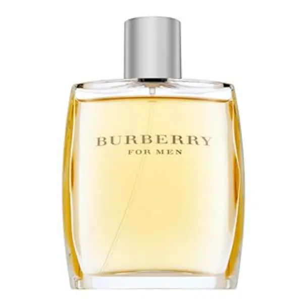 Burberry Burberry For Men toaletna voda za muškarce 100 ml