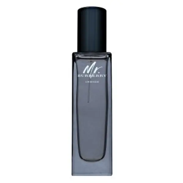 Burberry Burberry Mr. Burberry Indigo toaletna voda za muškarce 30 ml