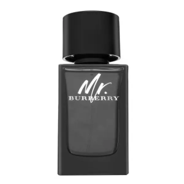 Burberry Burberry Mr. Burberry parfémovaná voda za muškarce 100 ml