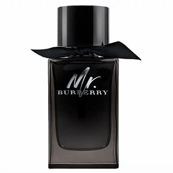 Burberry Burberry Mr. Burberry parfémovaná voda za muškarce 150 ml