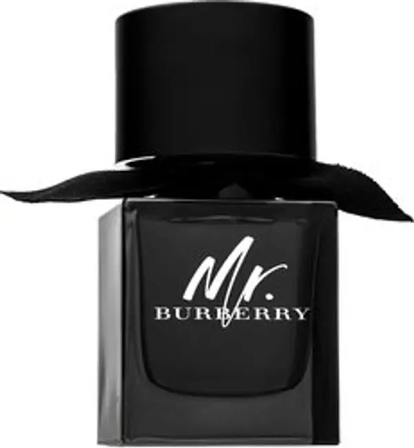 Burberry Burberry Mr. Burberry parfémovaná voda za muškarce 50 ml