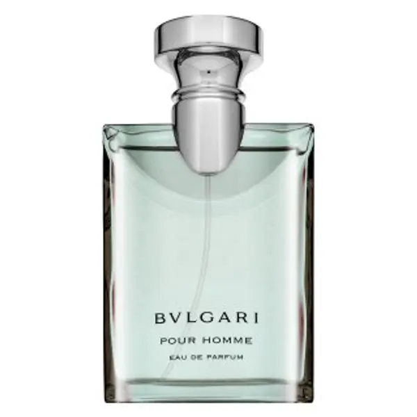 Bvlgari Bvlgari Pour Homme parfemska voda za muškarce 100 ml