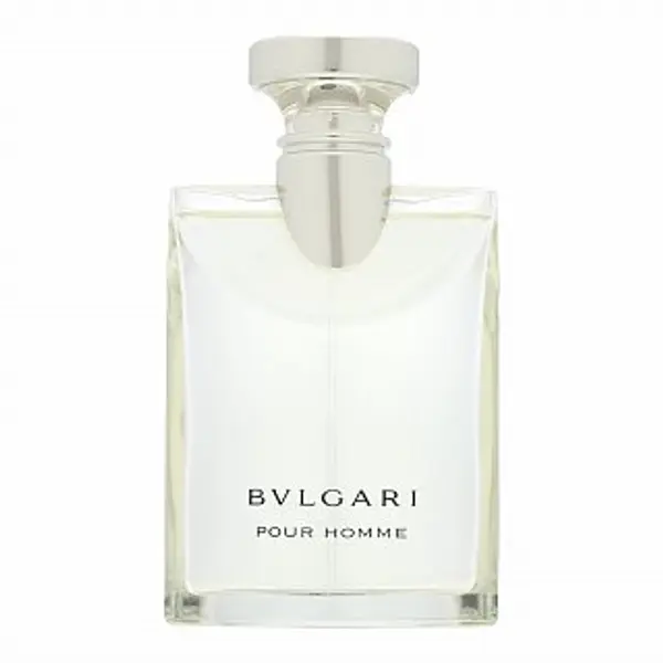 Bvlgari Bvlgari Pour Homme toaletna voda za muškarce 100 ml