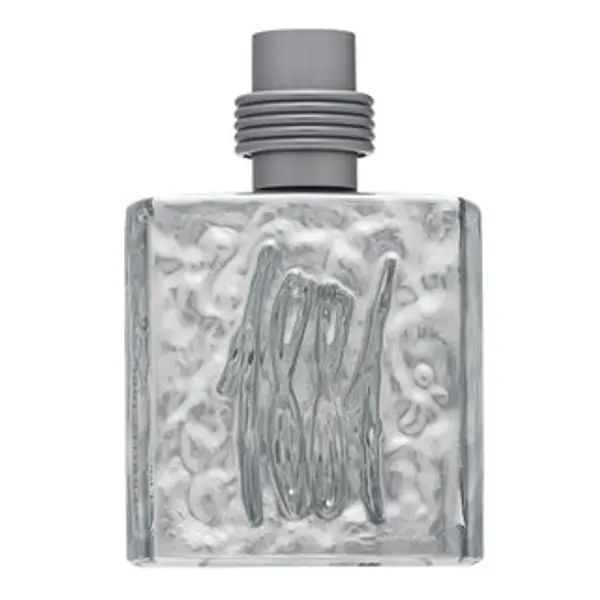 Cerruti Cerruti 1881 Silver toaletna voda za muškarce 100 ml