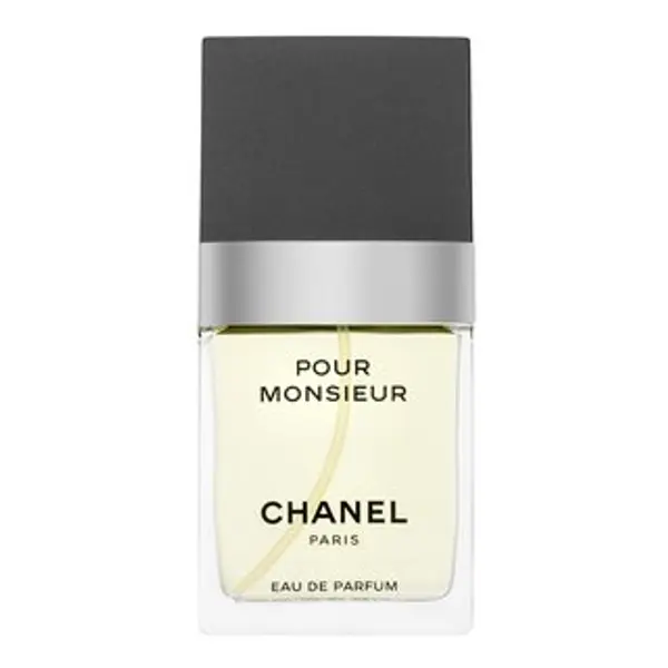 Chanel Chanel Pour Monsieur parfémovaná voda za muškarce 75 ml