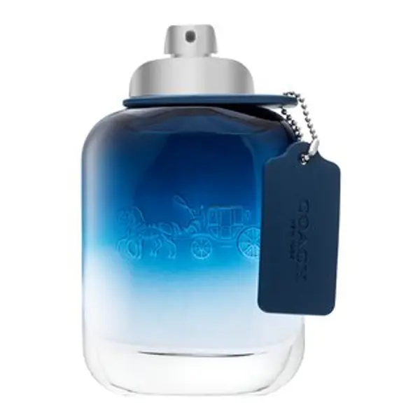 Coach Coach Blue toaletna voda za muškarce 100 ml