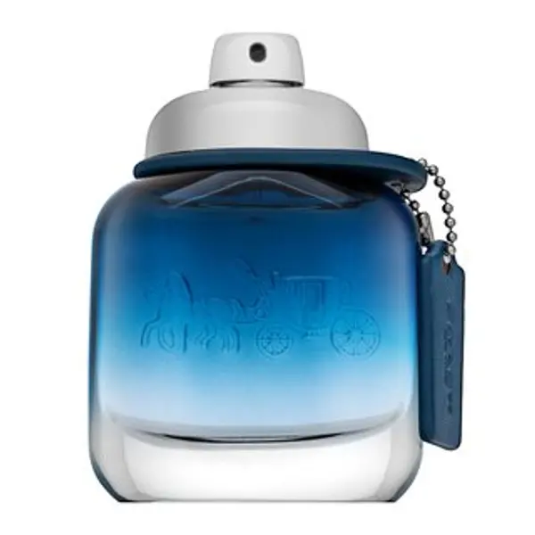 Coach Coach Blue toaletna voda za muškarce 40 ml