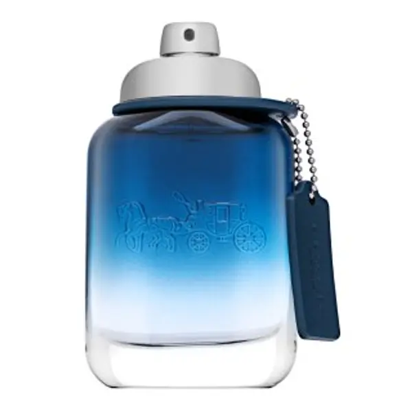 Coach Coach Blue toaletna voda za muškarce 60 ml
