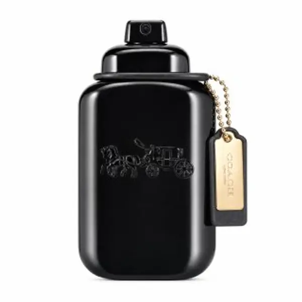 Coach Coach Coach for Men parfemska voda za muškarce 60 ml