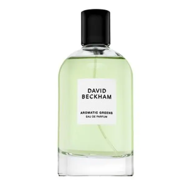 David Beckham David Beckham Aromatic Greens parfémovaná voda za muškarce 100 ml