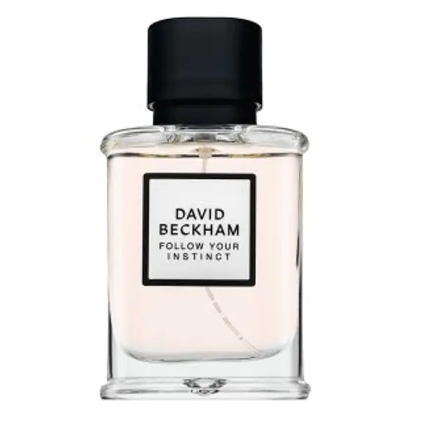David Beckham David Beckham Follow Your Instinct parfemska voda za muškarce 50 ml