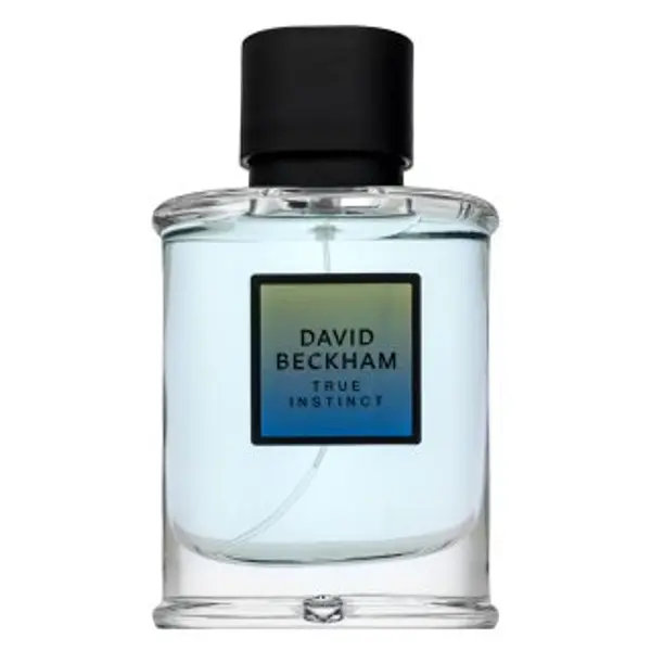 David Beckham David Beckham True Instinct parfemska voda za muškarce 75 ml
