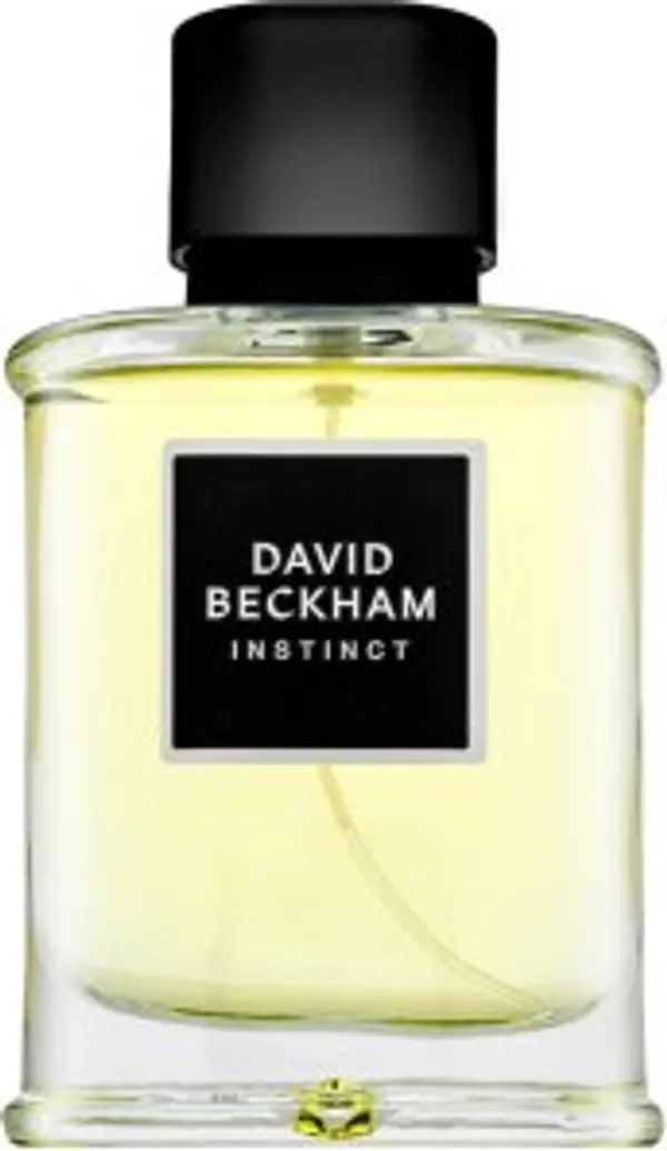 David Beckham David Beckham Instinct parfemska voda za muškarce 75 ml