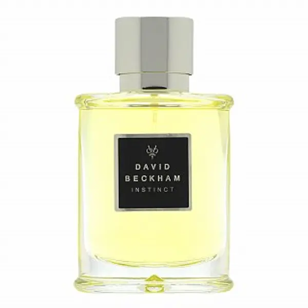 David Beckham David Beckham Instinct toaletna voda za muškarce 75 ml