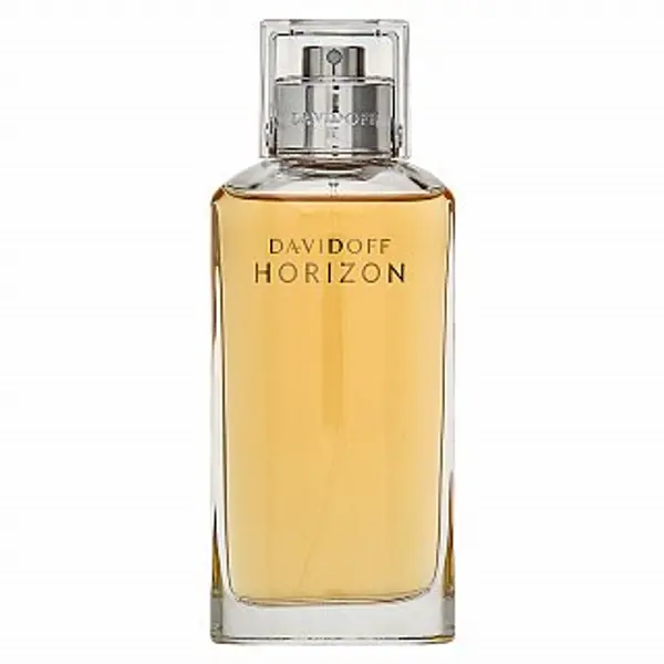 Davidoff Davidoff Horizon toaletna voda za muškarce 125 ml