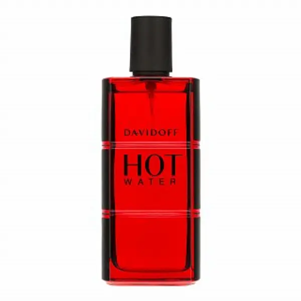 Davidoff Davidoff Hot Water toaletna voda za muškarce 110 ml