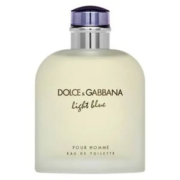Dolce & Gabbana Dolce & Gabbana Light Blue Pour Homme toaletna voda za muškarce 200 ml