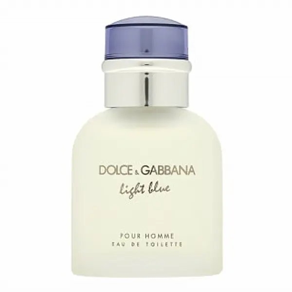 Dolce & Gabbana Dolce & Gabbana Light Blue Pour Homme toaletna voda za muškarce 40 ml