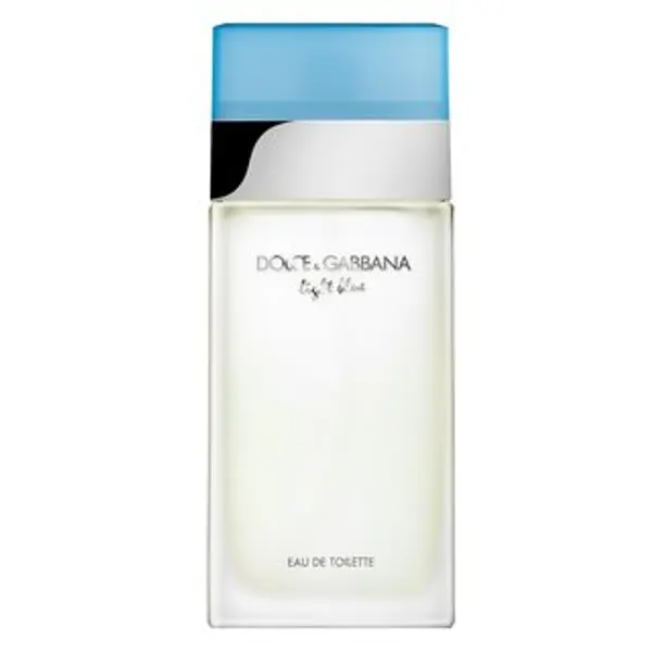 Dolce & Gabbana Dolce & Gabbana Light Blue toaletna voda za žene 100 ml