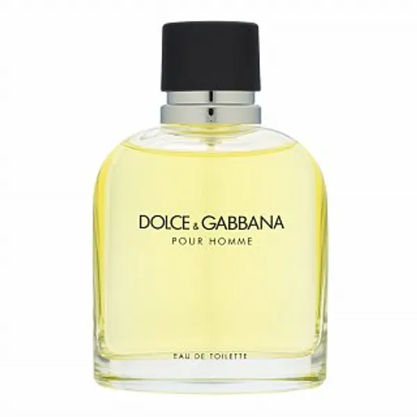 Dolce & Gabbana Dolce & Gabbana Pour Homme toaletna voda za muškarce 125 ml
