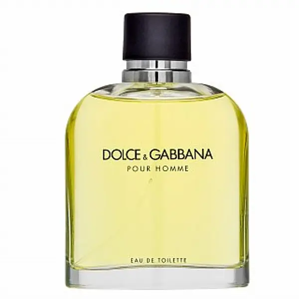 Dolce & Gabbana Dolce & Gabbana Pour Homme toaletna voda za muškarce 200 ml