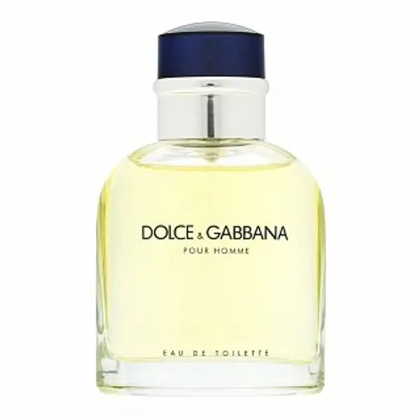 Dolce & Gabbana Dolce & Gabbana Pour Homme toaletna voda za muškarce 75 ml