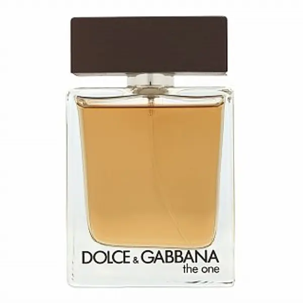 Dolce & Gabbana Dolce & Gabbana The One for Men toaletna voda za muškarce 50 ml