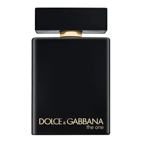 Dolce & Gabbana Dolce & Gabbana The One Intense for Men parfemska voda za muškarce 100 ml