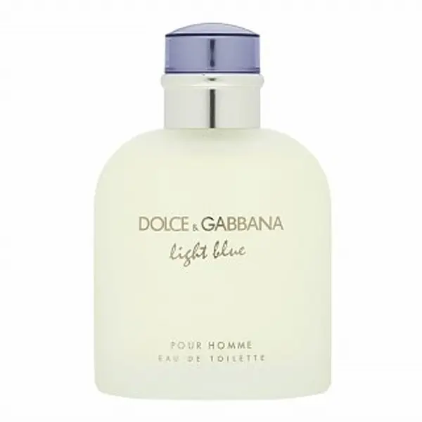 Dolce & Gabbana Dolce & Gabbana Light Blue Pour Homme toaletna voda za muškarce 125 ml