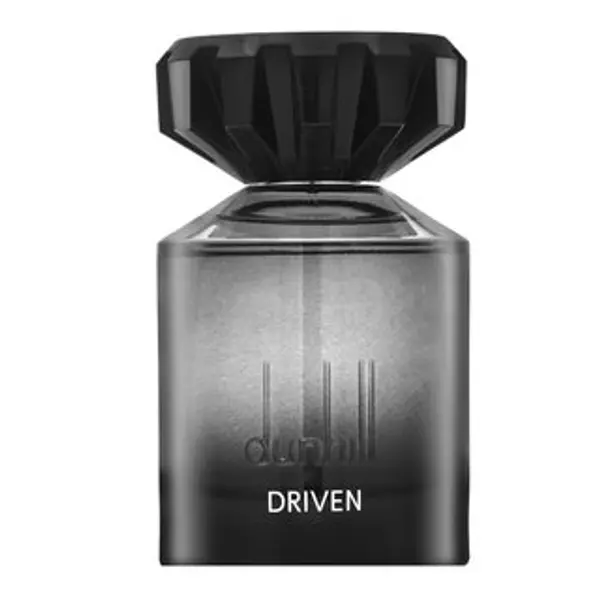 Dunhill Dunhill Driven parfémovaná voda za muškarce 100 ml