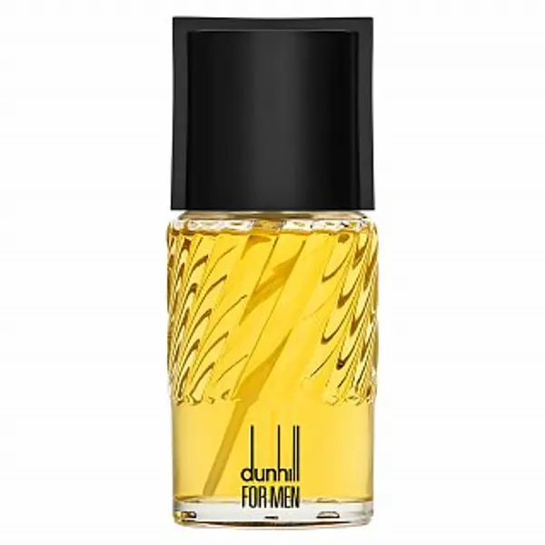 Dunhill Dunhill Dunhill for Men toaletna voda za muškarce 100 ml