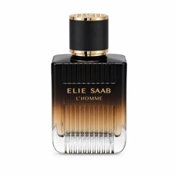 Elie Saab Elie Saab L´Homme Intense parfemska voda za muškarce 100 ml