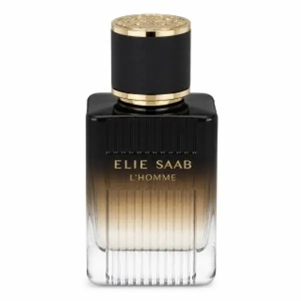 Elie Saab Elie Saab L´Homme Intense parfemska voda za muškarce 50 ml