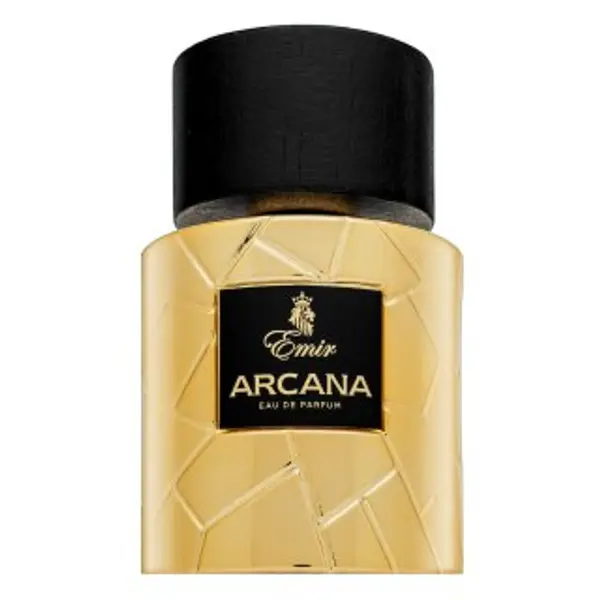 Emir Emir Arcana parfemska voda za muškarce 100 ml