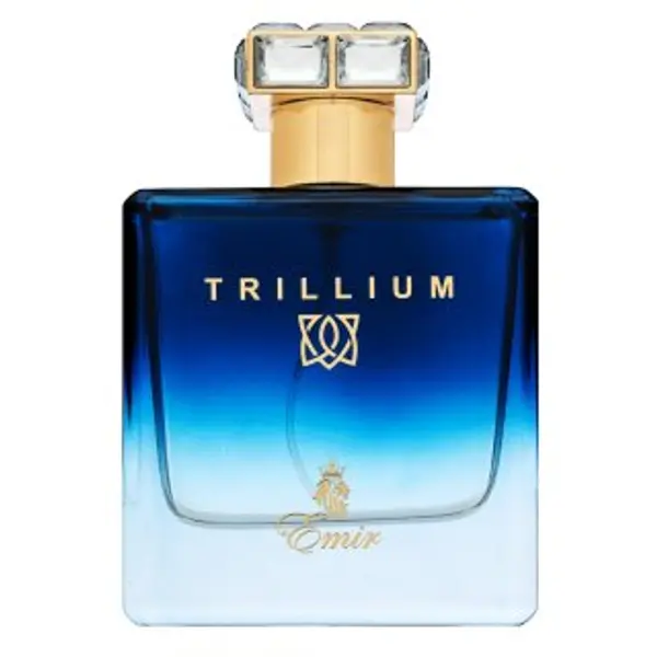 Emir Emir Trillium parfemska voda za muškarce 100 ml