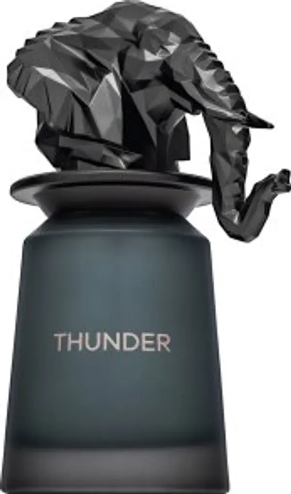 French Avenue French Avenue Thunder parfemska voda za muškarce 100 ml