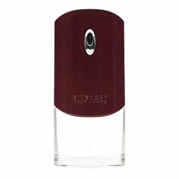Givenchy Givenchy Pour Homme toaletna voda za muškarce 100 ml