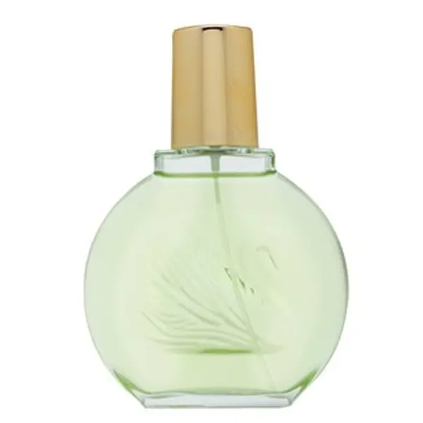 Gloria Vanderbilt Gloria Vanderbilt Jardin a New York parfémovaná voda za žene 100 ml